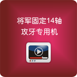 將軍固定14軸攻牙專(zhuān)用機